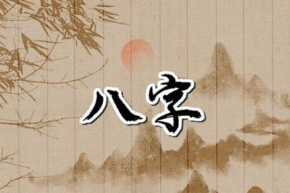 排盘报告阅读顺序